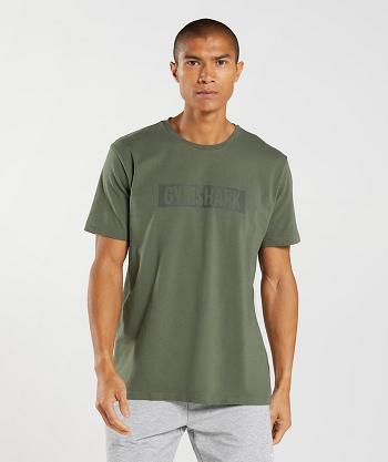 Pánské T Shirts Gymshark Block Olivy Zelené | CZ 2502XYU